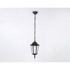 Светильник уличный подвесной Ambrella Garden ST2029, E27, цвет чёрный, прозрачный - Фото 2