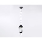 Светильник уличный подвесной Ambrella Garden ST2029, E27, цвет чёрный, прозрачный - Фото 3