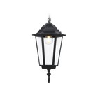 Светильник уличный подвесной Ambrella Garden ST2029, E27, цвет чёрный, прозрачный - Фото 4