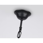 Светильник уличный подвесной Ambrella Garden ST2029, E27, цвет чёрный, прозрачный - Фото 5