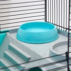 Клетка для шиншиллы "Пижон" №19, разборная, 58 х 40 х 49, бирюзовая - Фото 16