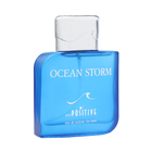 Туалетная вода мужская OCEAN STORM, 100 мл - фото 24100956