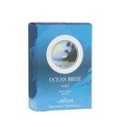 Туалетная вода мужская OCEAN BRISE, 100 мл - фото 24100965