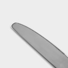Набор ножей столовых из нержавеющей стали Magistro «Олин», длина 22,7 см, 6 шт - Фото 3