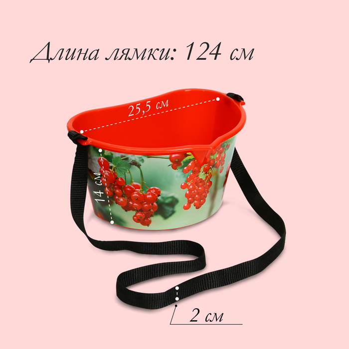 Ёмкость для сбора ягод, 3 л, «Красная смородина», красная - фото 1908186572