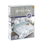 Постельное бельё 2сп АртПостель Бамбуковая роща 175х215, 200х215, 70х70см 2шт поплин 117г/м, хлопок - фото 24064461