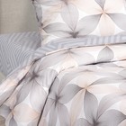 Постельное бельё евро АртПостель Серафима 215х200, 215х240, 70х70 2шт, поплин 115г/м, хлопок - фото 24064484