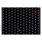 Папка-конверт на клапане, А4 (225 х 315 мм), 180 мкм,Феникс "Фразы с характером" - фото 24067445 Папка-конверт на клапане, А4 (225 х 315 мм), 180 мкм,Феникс "Фразы с характером" - фото 24067445