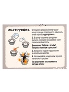 Набор для опытов «Классные эксперименты», 8в1 - Фото 32