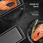 Панели для минипекарни RED Solution RAMB-03, антипригарное покрытие, 13х24 см, гриль 10514011 - фото 16425515