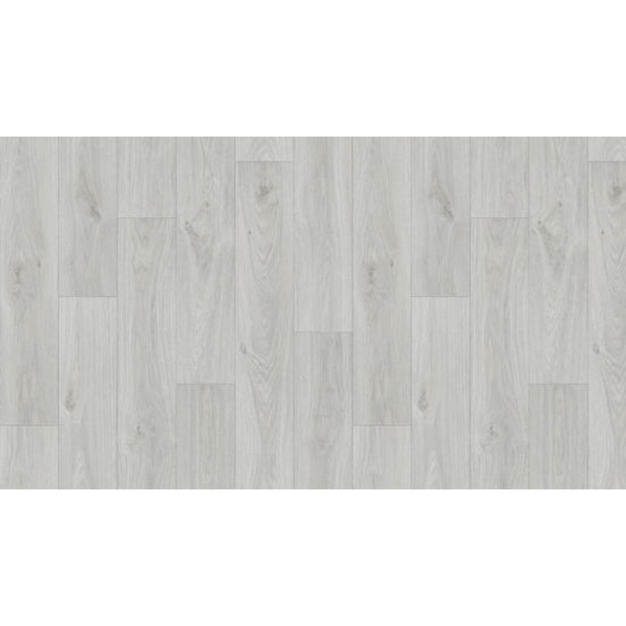 Линолеум бытовой Gladiator Muskat 9 ширина 3 м длина 6 м толщина 4,5 мм, 18м2 - Фото 1