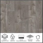 Линолеум бытовой «Фаворит Картер 1», ширина 3 м, длина 2.5 м толщина 3 мм, 7.5 м²  (артикул 10542733)  большой выбор товаров оптом и в розницу по низким ценам с доставкой