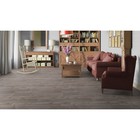 Линолеум бытовой «Фаворит Картер 1», ширина 3 м, длина 3.5 м толщина 3 мм, 10.5 м²  (артикул 10542735)  большой выбор товаров оптом и в розницу по низким ценам с доставкой