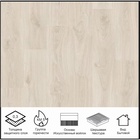 Линолеум бытовой «Фаворит» Muskat 1, ширина 3 м, длина 6 м толщина 3 мм, 18 м² - Фото 4