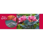Пазл «Розовые цветы лотоса», 500 элементов - Фото 2