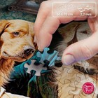 Пазл «Старые друзья», 1000 элементов - фото 24080399