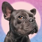 Пазл «Я наблюдаю за тобой», 1000 элементов - фото 24080415