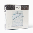 Постельное бельё LoveLife евро Winter 200х220см,225х240см,50х70см-2шт, жатка, 100% п/э, 100гр/м2 10322863 - фото 12445081