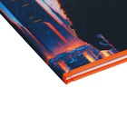 Дневинк универсальный 1-11 класс "Стиль города", 40 листов, твердая обложка, матовая ламинация, блок офсет - Фото 3