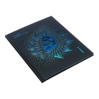 Дневник универсальный 1-11 класс Dragon's eye, 40 листов, твердая обложка, матовая ламинация, тиснение фольгой, блок офсет - фото 24501175