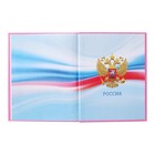 Дневник 5-11 класс Cat, 48 листов, твердая обложка, глянцевая ламинация, тиснение фольгой, блок офсет - фото 24736729