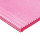 Дневник 5-11 класс Cat, 48 листов, твердая обложка, глянцевая ламинация, тиснение фольгой, блок офсет - фото 24736716