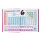 Дневник 5-11 класс Cat, 48 листов, твердая обложка, глянцевая ламинация, тиснение фольгой, блок офсет - фото 24736717