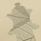 Тетрадь предметная "Подсказки", 48 листов в клетку, "Алгебра", мелованный картон, матовая ламинация, touch лак, блок офсет - фото 24519485