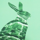 Тетрадь предметная "Подсказки", 48 листов в клетку, "Биология", мелованный картон, матовая ламинация, touch лак, блок офсет - фото 24519497