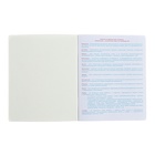 Тетрадь предметная "Подсказки", 48 листов в линейку, "Литература", мелованный картон, матовая ламинация, touch лак, блок офсет - фото 24501273