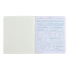 Тетрадь предметная "Подсказки", 48 листов в клетку, "Физика", мелованный картон, матовая ламинация, touch лак, блок офсет - фото 24501291