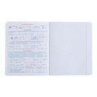 Тетрадь предметная "Подсказки", 48 листов в клетку, "Физика", мелованный картон, матовая ламинация, touch лак, блок офсет - фото 24501292