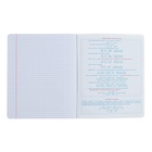 Тетрадь предметная "Подсказки", 48 листов в клетку, "Химия", мелованный картон, матовая ламинация, touch лак, блок офсет - фото 24501300