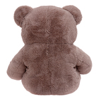 Мягкая игрушка «Медведь», цвет кофейный, 160 см - Фото 2