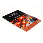 Бумага для акварели А4, 30 листов "Китайские фонарики", гознак 200 г/м2, в папке - фото 9961077