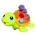 УЦЕНКА Каталка музыкальная «Черепашки», световые, звуковые эффекты, работает от батареек 10554065