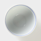 Пиала фарфоровая «Гуси», 250 мл - фото 24080944