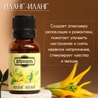 Набор эфирных масел "Экзотический сад" 6 шт по 15 мл Добропаровъ - фото 24164314