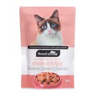 Влажный корм «Ночной охотник» для кошек, кролик/сердце в желе, пауч, 100 г - Фото 1