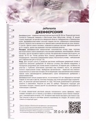 Джефферсония сомнительная, р-р I, 1 шт., Весна 2025 - Фото 2