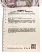 Элимус песчаный, р-р I, 1 шт, Весна 2025 10369217 - фото 4370000