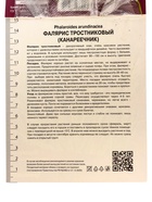 Фалярис тростниковый «Триколор», 1 шт., Осень 2026, «ПОИСК» - Фото 2