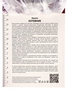 Котовник Фассена Кэтс Мяу, р-р I, 1 шт, Весна 2025 10369326 - фото 4370006