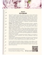 Котовник Фассена Кит Кэт, р-р I, 1 шт, Весна 2025 10369327 - фото 4370009