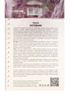 Котовник Фассена Лайт Блу, р-р I, 1 шт., Весна 2026 10369328 - фото 10208488