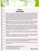 Котовник Фассена Пуррсиан Блу, р-р I, 1 шт, Весна 2025 10369329 - фото 4370012