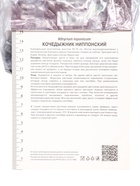 Папоротники Кочедыжник японский «Ред Бьюти», р-р I, 1 шт., Осень 2025 - Фото 3
