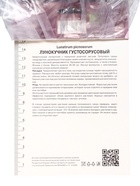 Папоротники Лунокучник густосорусовый, р-р I, 1 шт, Весна 2025 - Фото 3