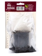 Фиалка маньчжурская, р-р I, 1 шт, Весна 2025 10369413