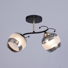 Люстра "Аста" 2хЕ27 40Вт чёрно-золотой 45х26х27 см BayerLux - фото 24298257